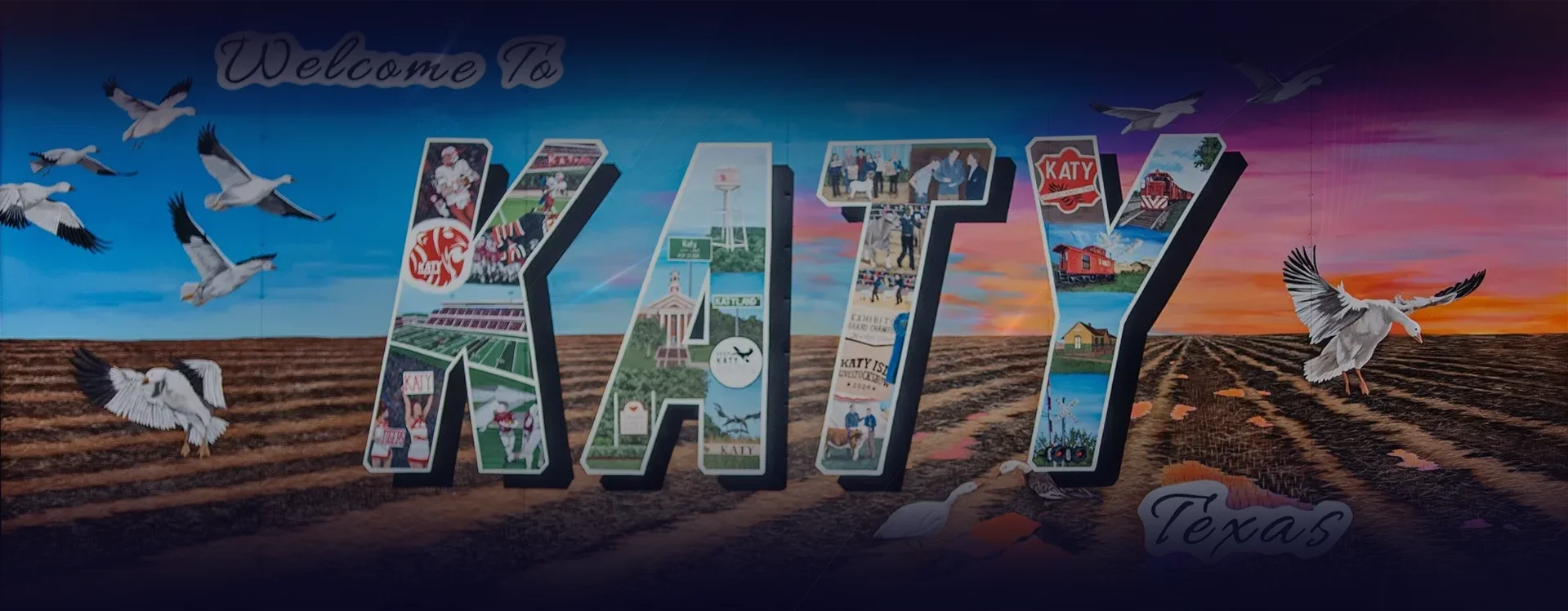 experience bottom image